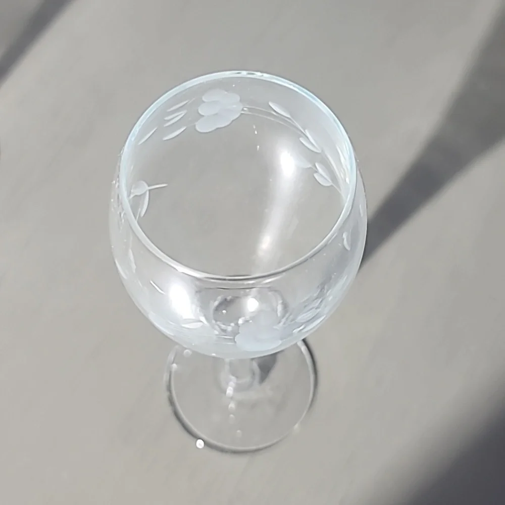 Princess House Crystal Herritage Champagne Flutes - Set of 4